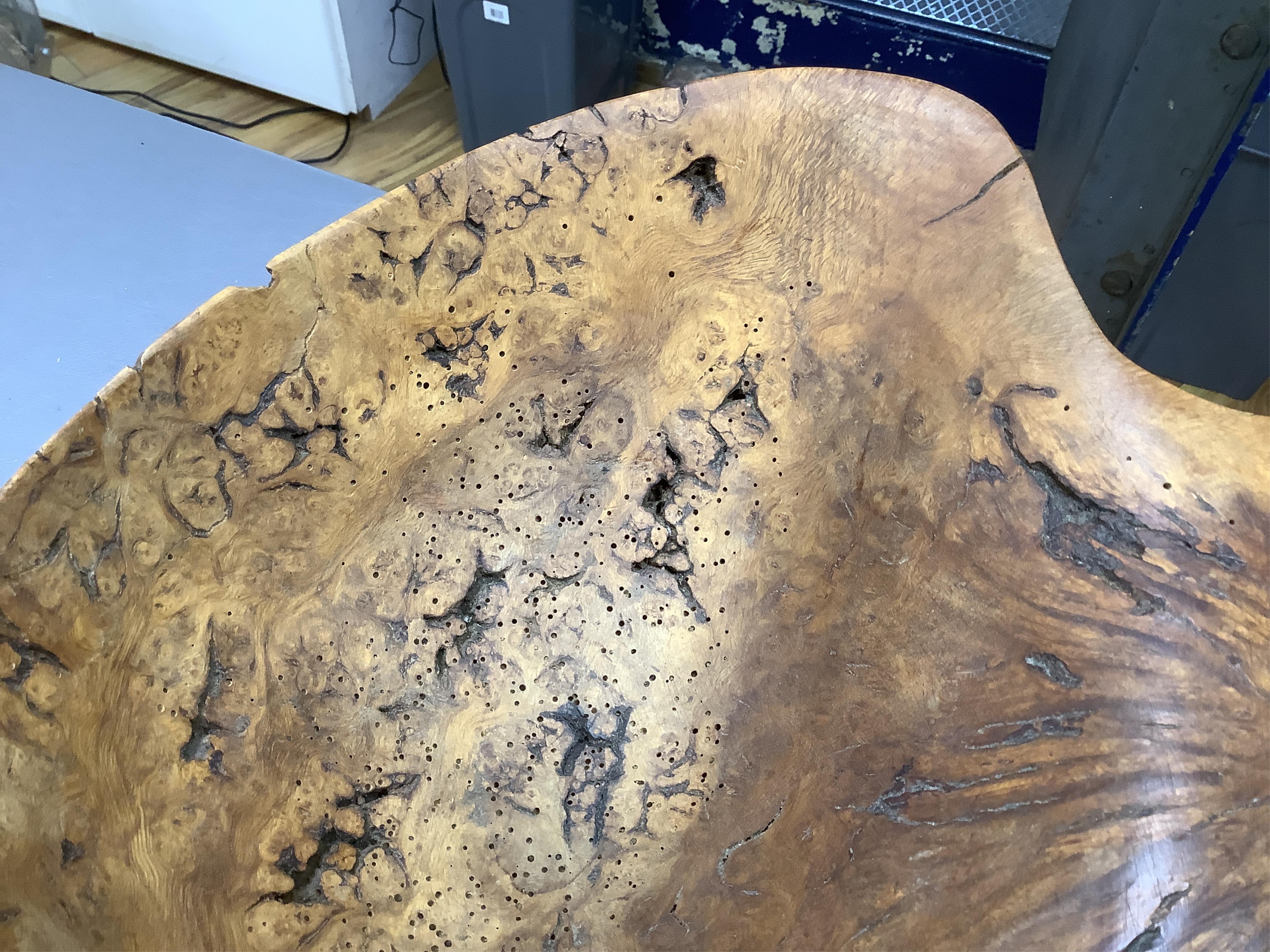 A large free form burr elm fruit bowl or centre dish, 45cm wide